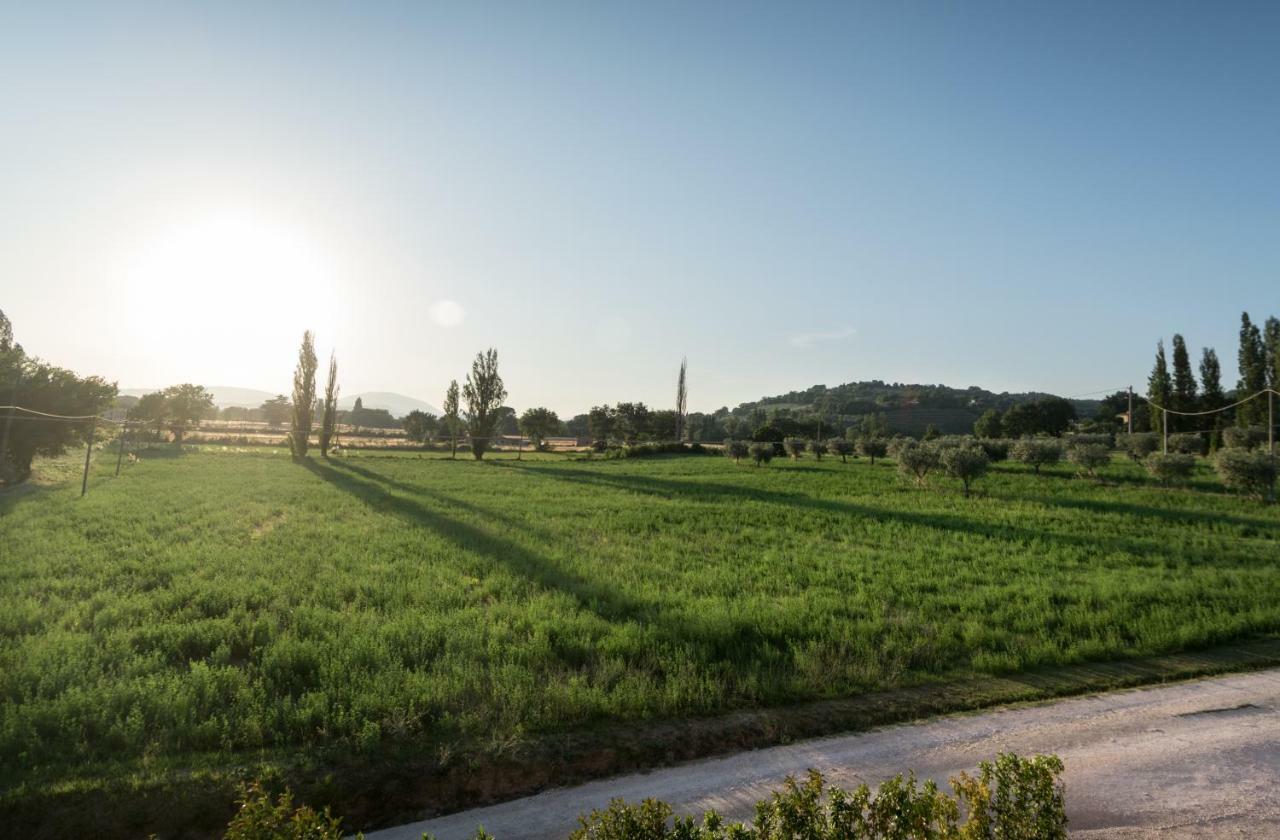 Bed & Breakfast Al Pian D'Ассізі Екстер'єр фото